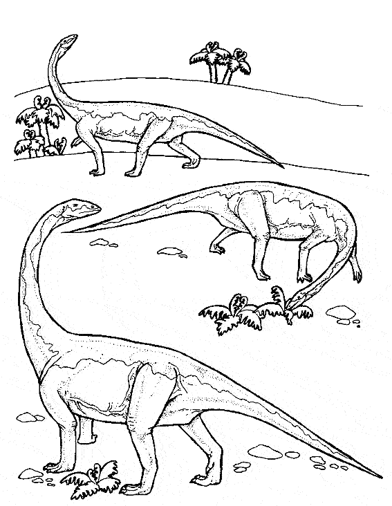 coloriage famille diplodocus